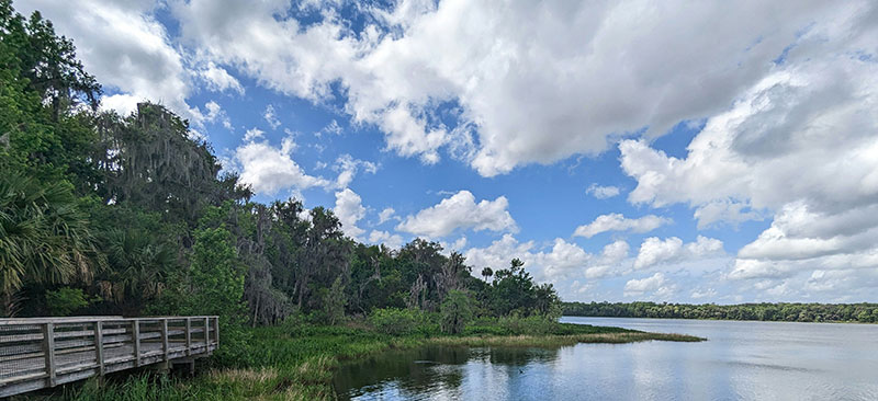 Paynes Prairie