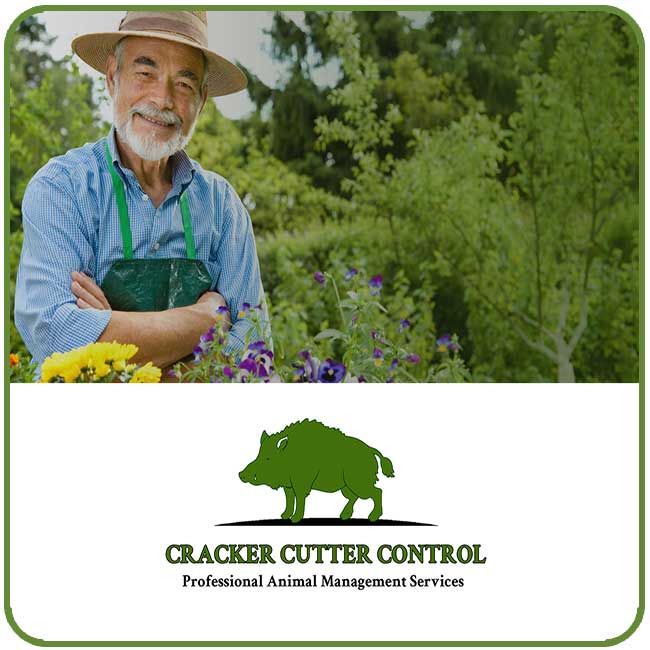 Cracker Cutter Control